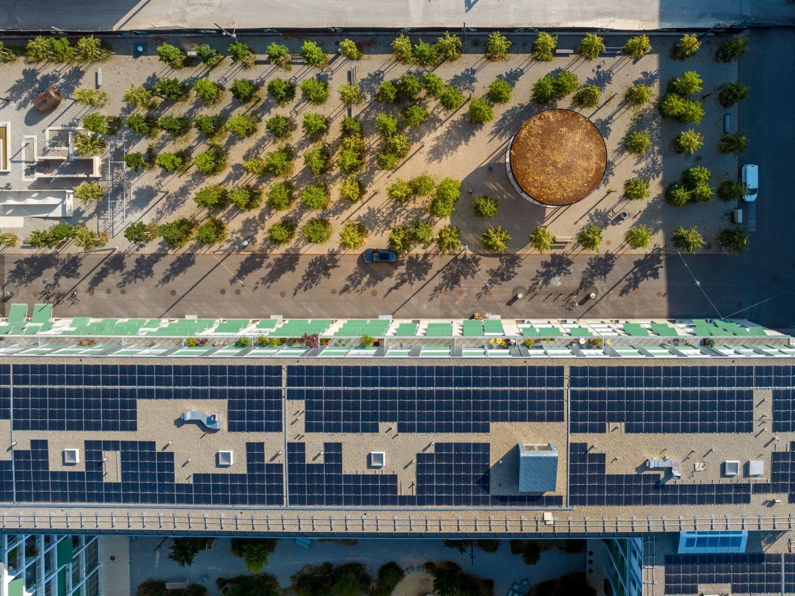 The picture shows an aerial view of a roof covered with solar panels and a green area with trees arranged in rows.