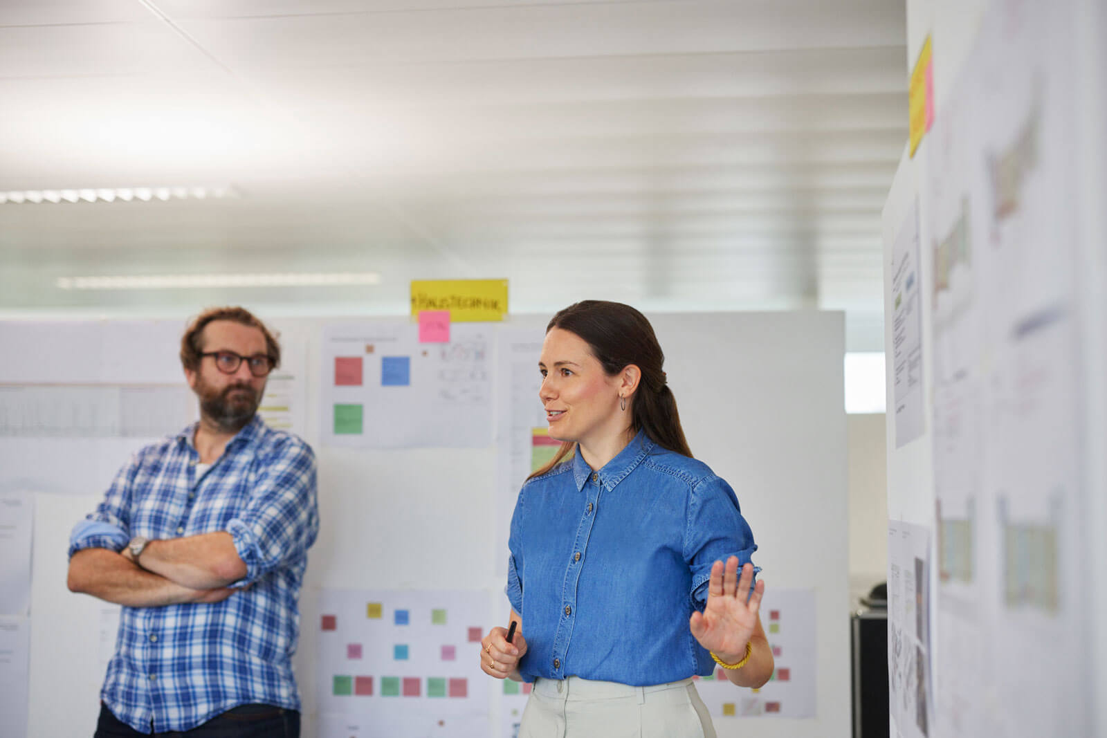 Integrated Project Delivery (IPD) and project alliances Integrated Project Delivery (IPD) and project alliances